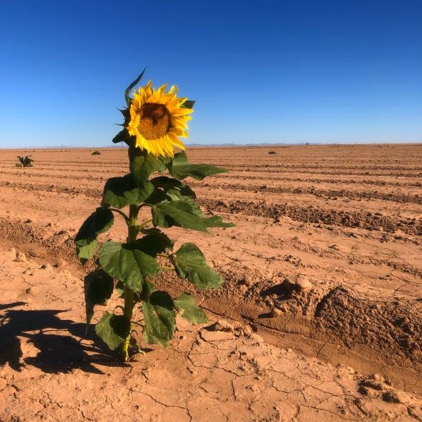 What About Me? The Power of Choosing Yourself Without Guilt