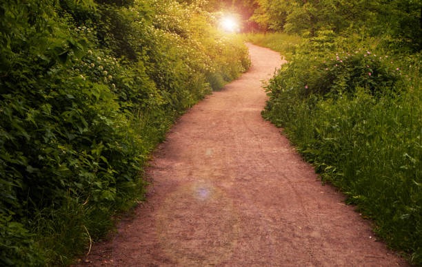 Whole, Not Perfect: The Journey Back to You